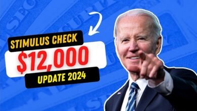 $12000 stimulus check 2024